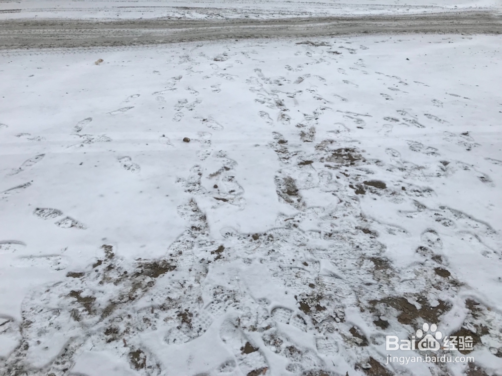 新手开车要注意哪些交通情况