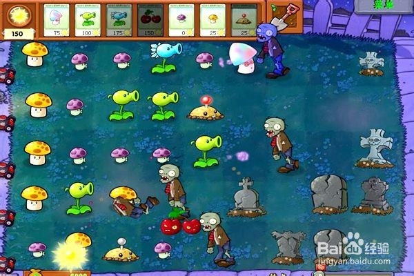 植物大战僵尸通全关的攻略。（十六第2---6关）