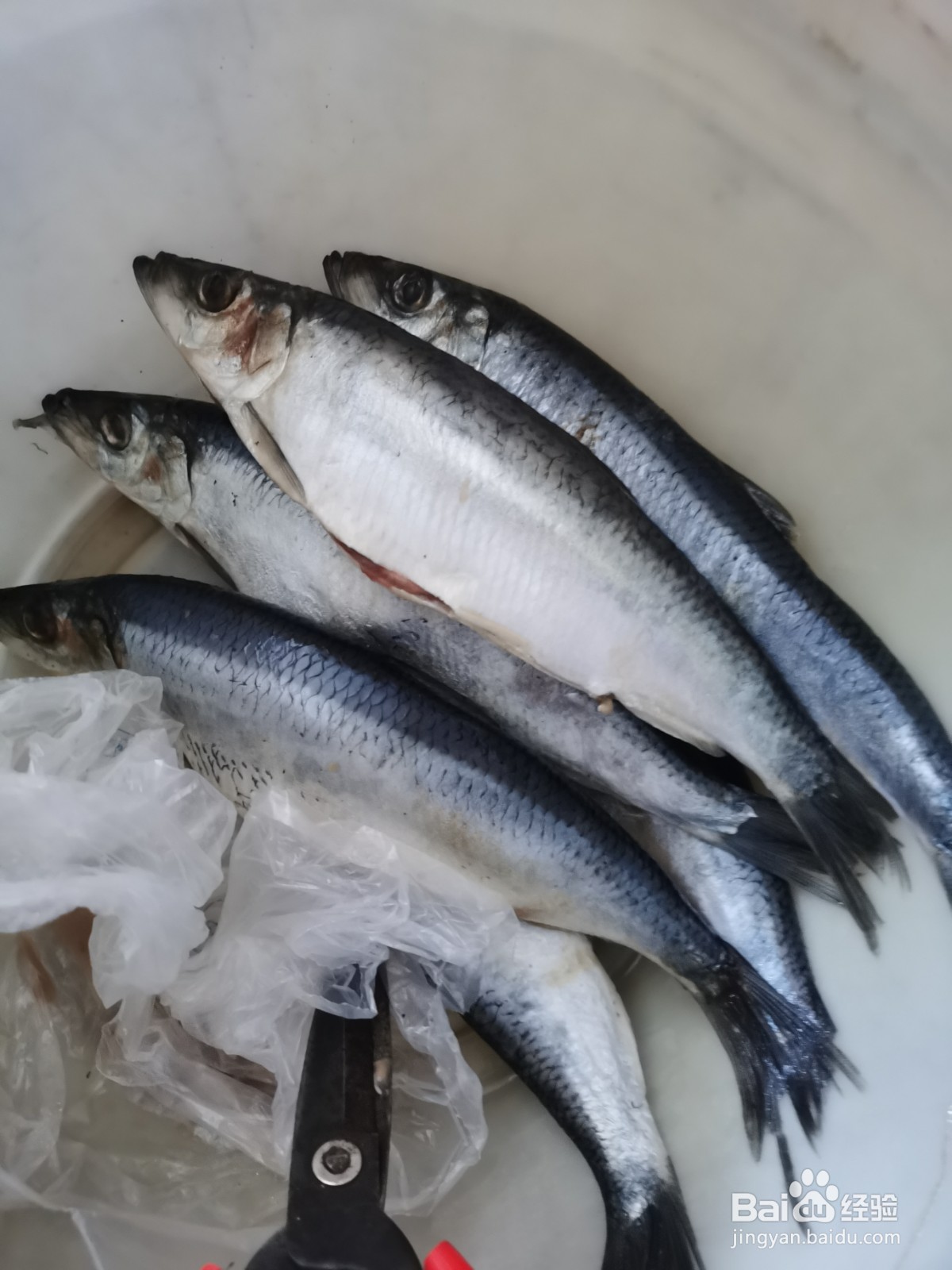 家常菜红烧青鱼