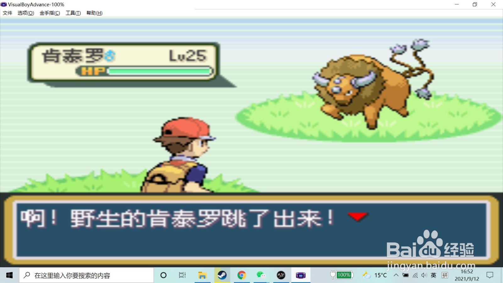 口袋妖怪火红怎么抓肯泰罗