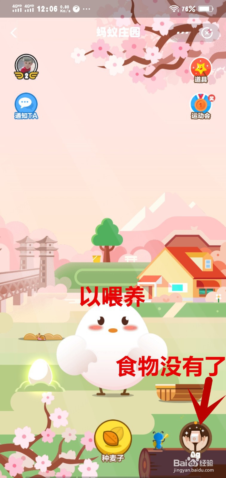 蚂蚁庄园怎么帮友人喂食小鸡