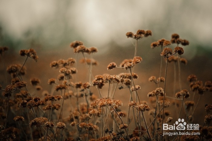 野外火灾的逃生和自救常用方法