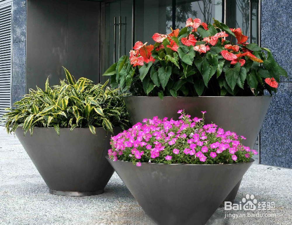 准妈妈夏天如何驱蚊