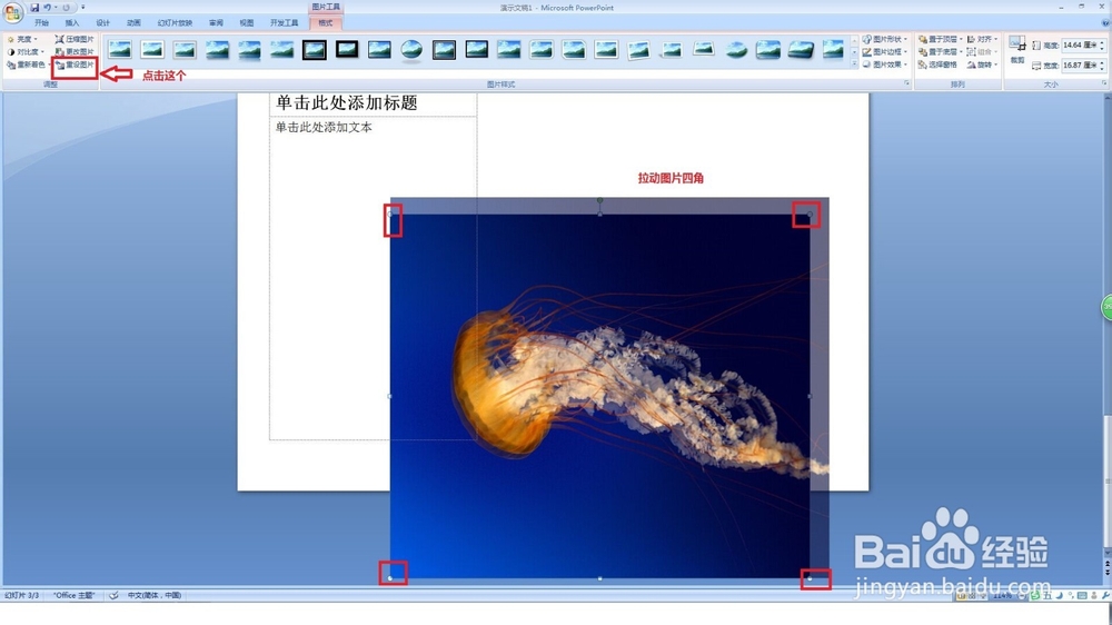 使用PPT如何完成插入图片方法
