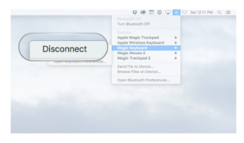 Magic Keyboard连接到Mac