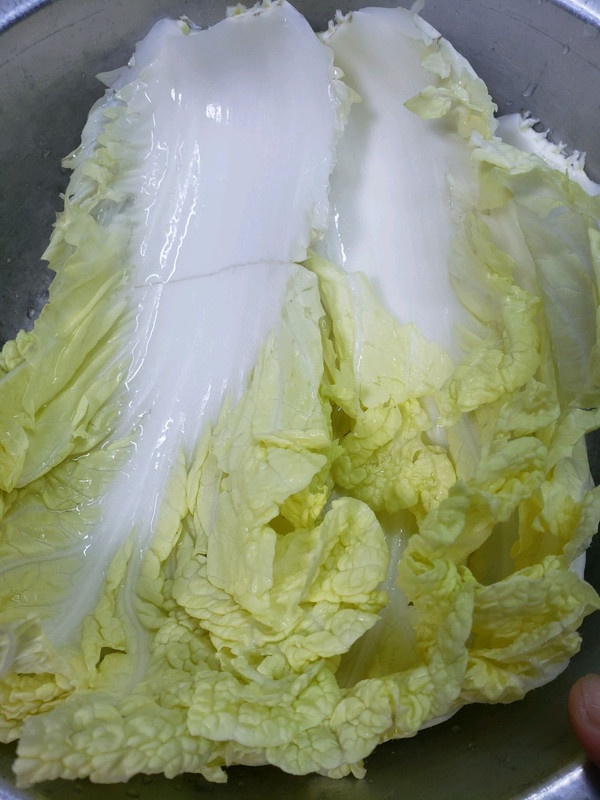 缤纷猪肉虾仁白菜饺子