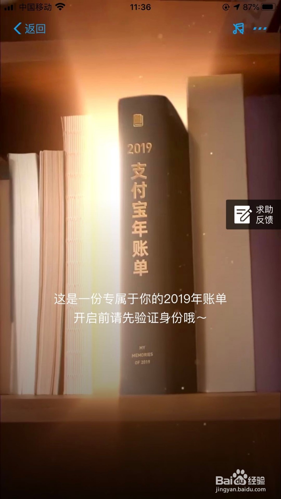 支付宝2019年度账单怎么查看