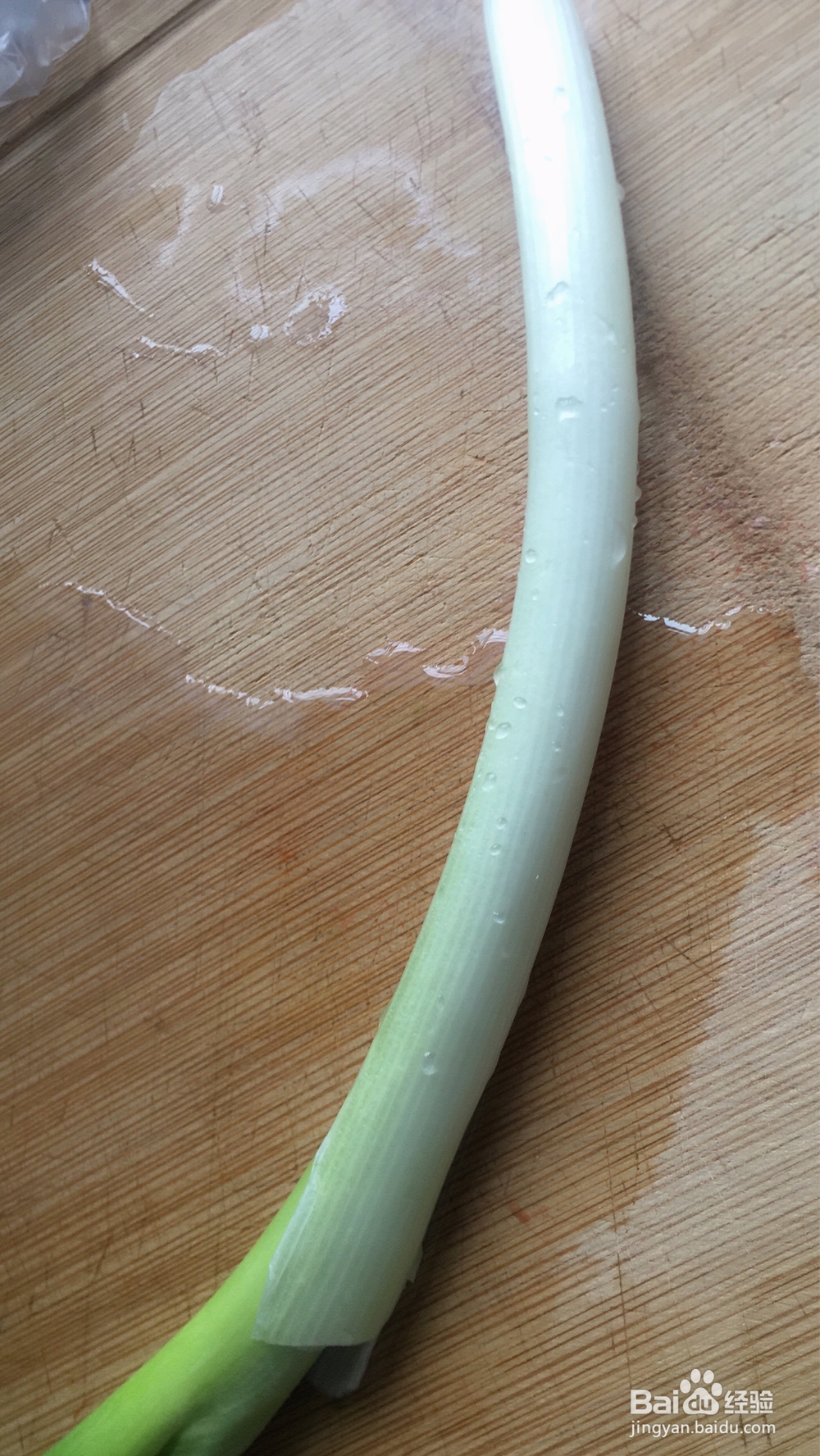 抢着吃的荠菜饺子
