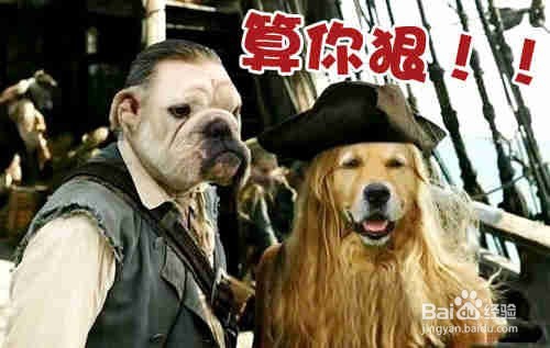 生活急救小常识