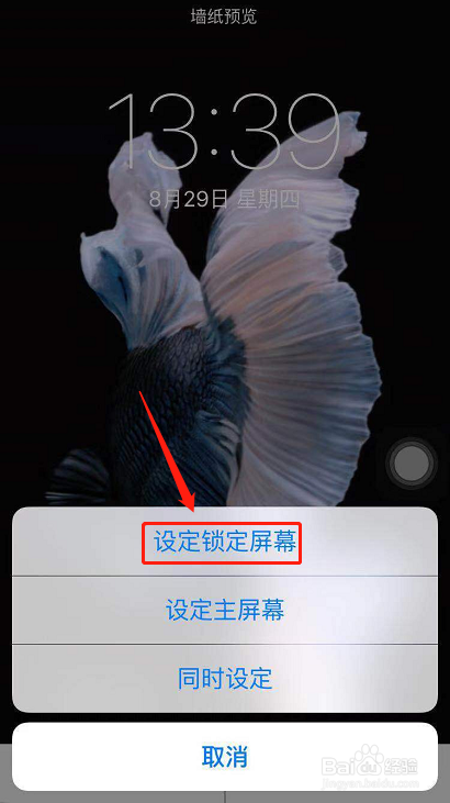 苹果6s怎么设置live photo动态锁屏