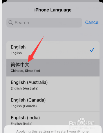 苹果手机怎么设置中文模式