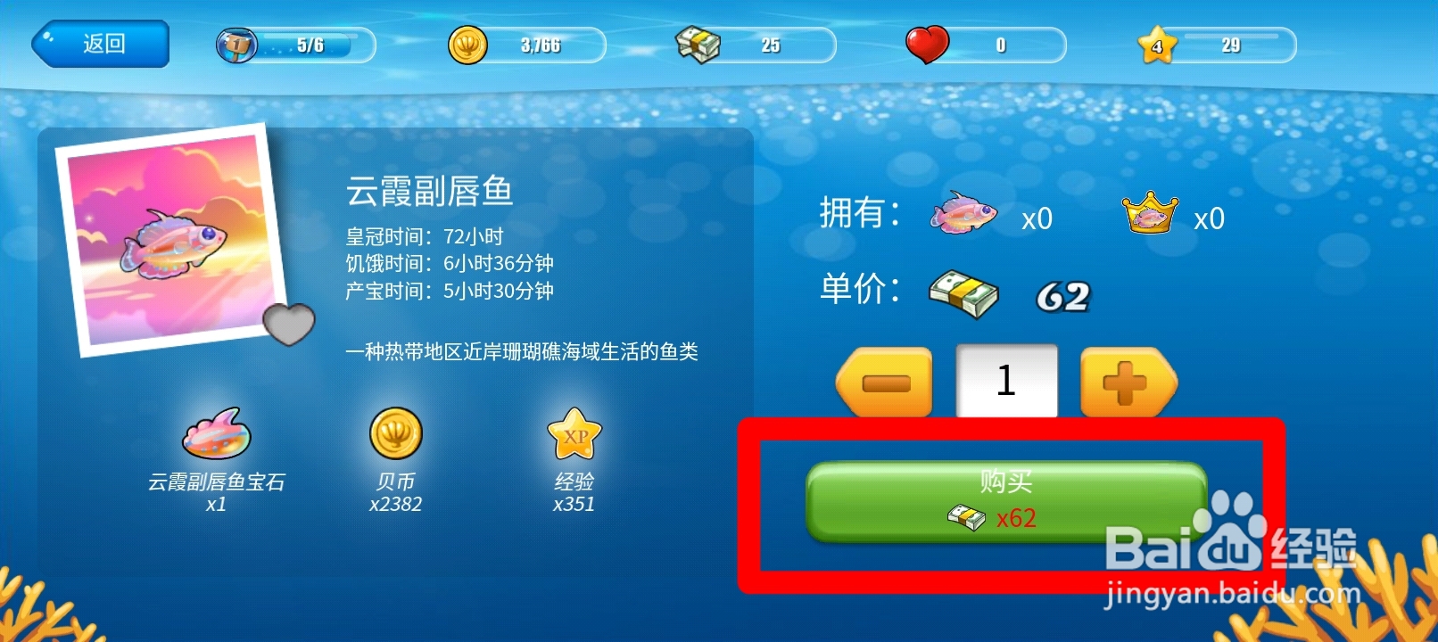 开心水族箱如何查看云霞副唇鱼的购买