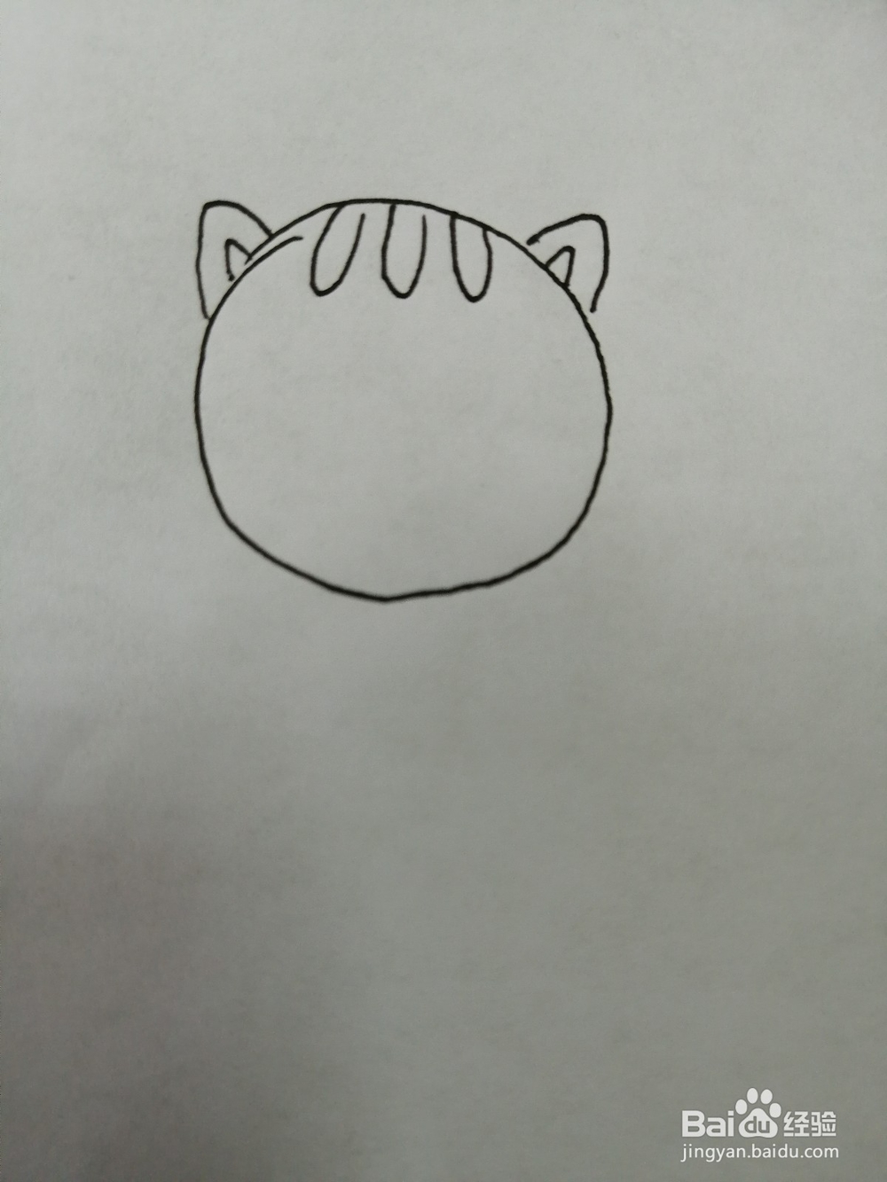 爱吃鱼的小猫咪怎么画