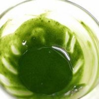 贡茶店里的小鲜肉——抹茶水羊羹