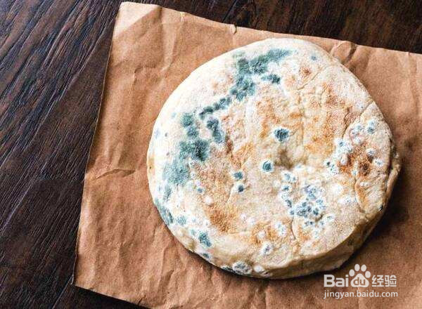 怎样提高刚出生小猫的存活率