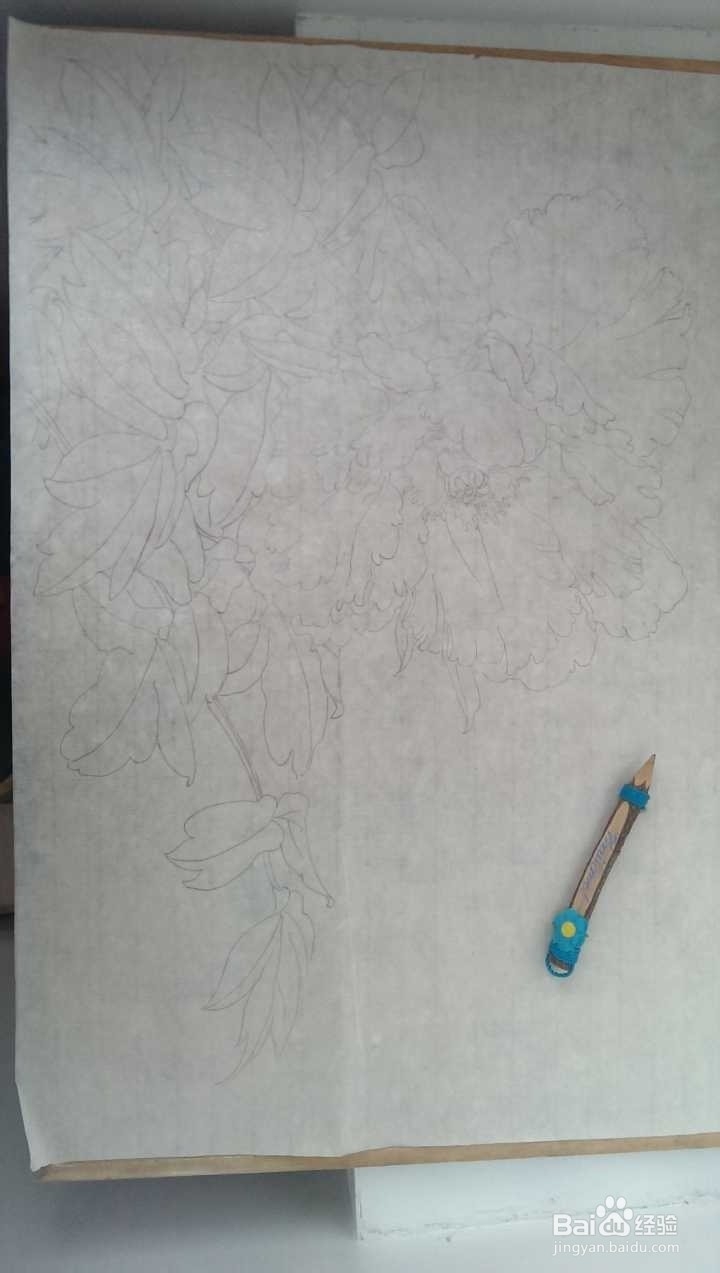 工笔牡丹绘画创作技法