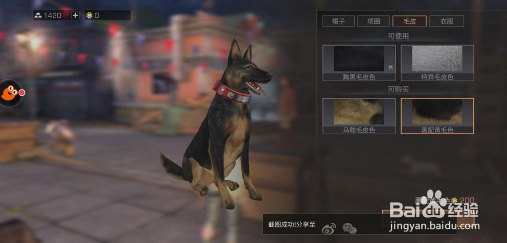 明日之后怎么更改宠物外貌？怎么给宠物买时装