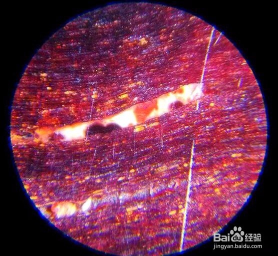 小叶紫檀真假金星鉴定