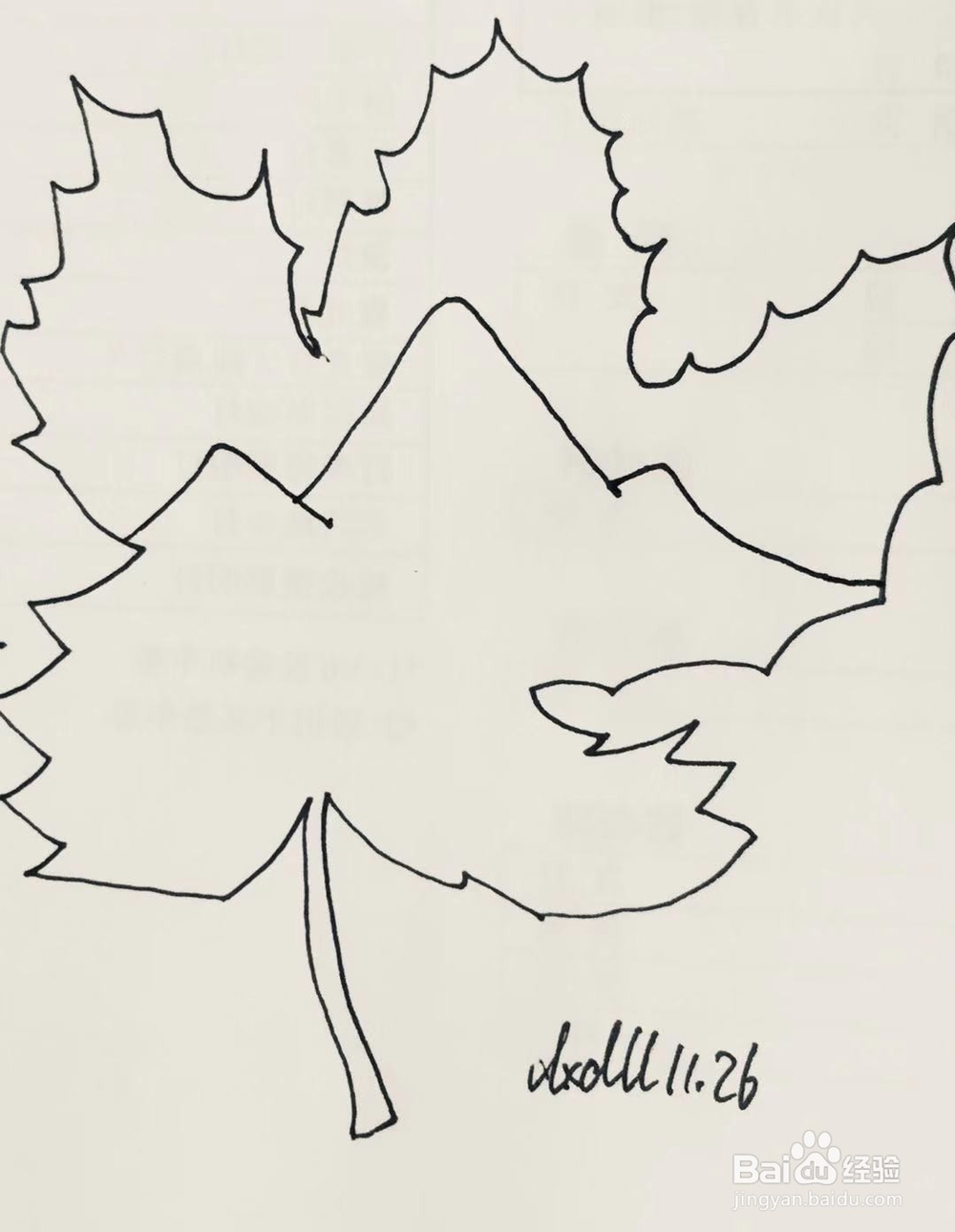 简笔画教程之叶子