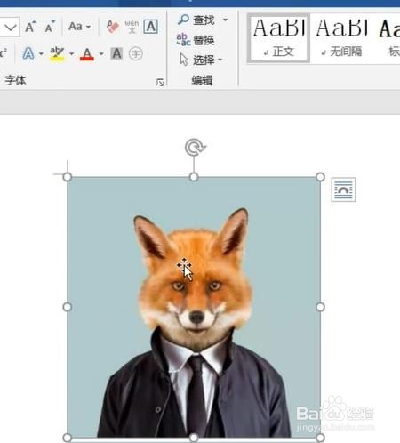 word如何裁剪照片？
