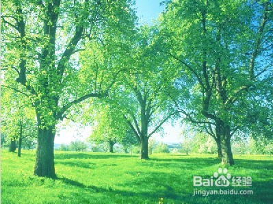 如何使用PS贴入图片到另一图层