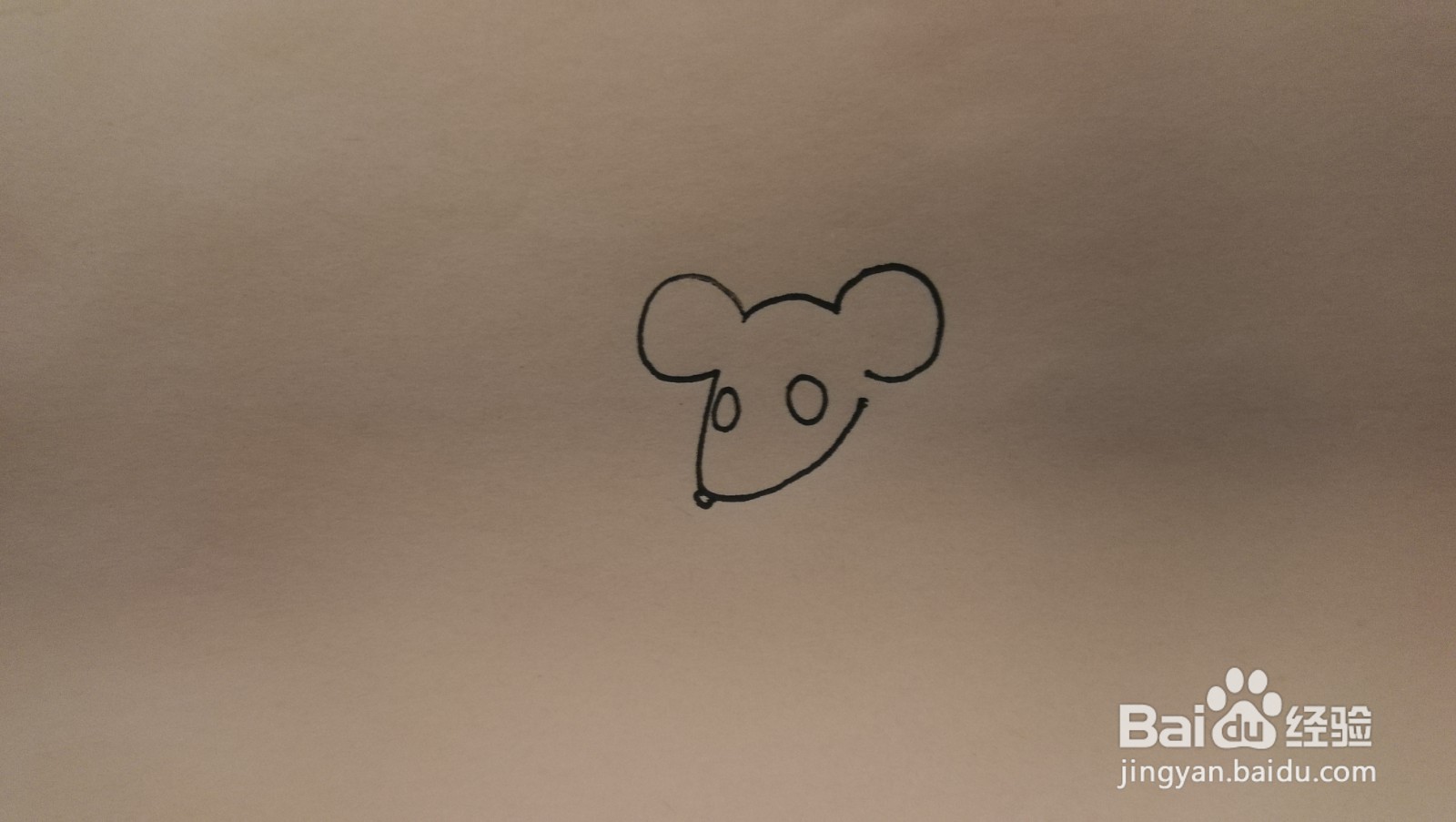 #经验分享官#老鼠简笔画