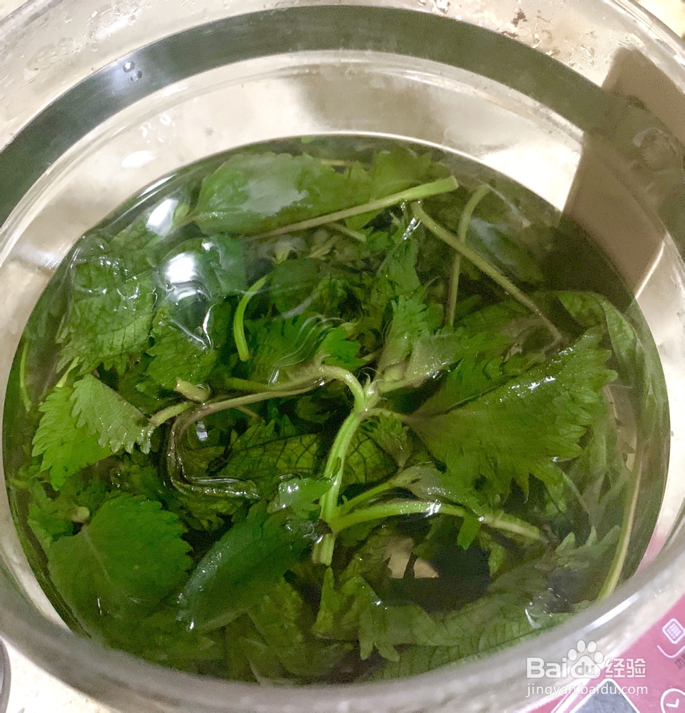 入口即化的紫苏桃子姜