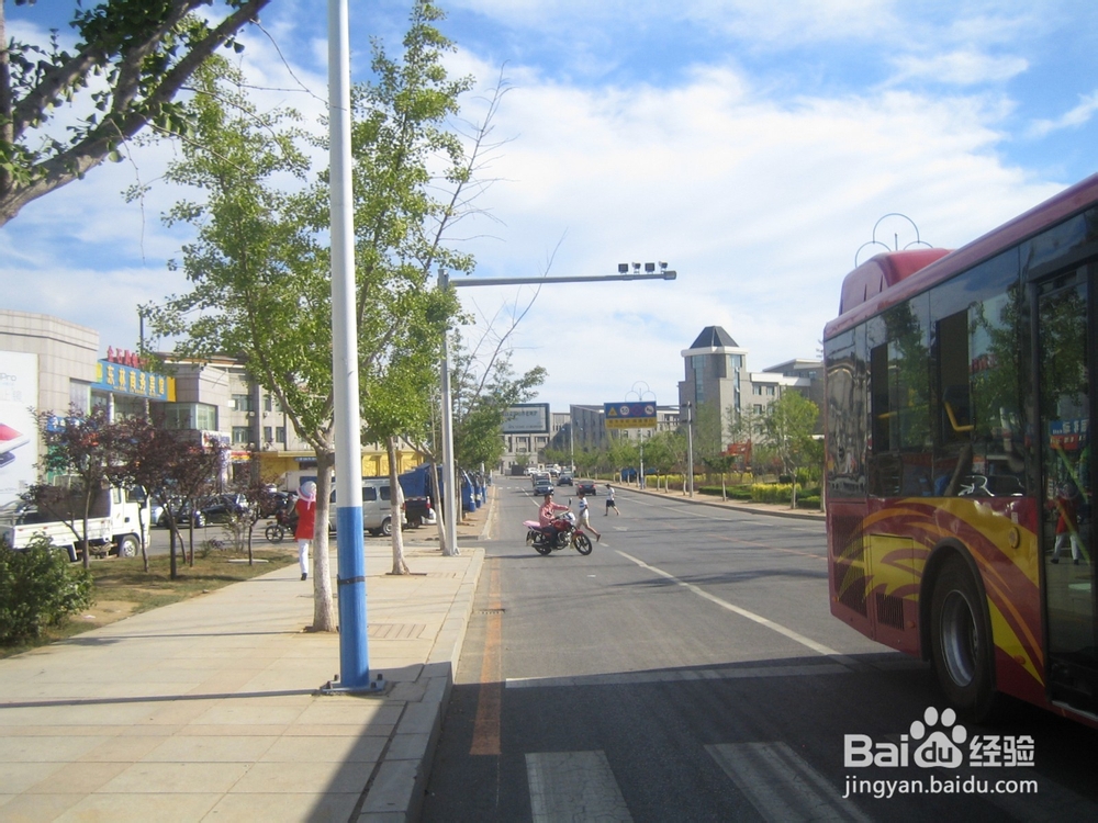 怎样告诉孩子安全过马路--10