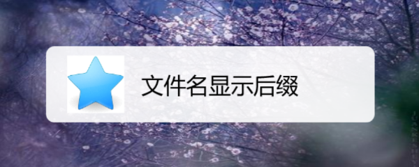 文件名显示后缀