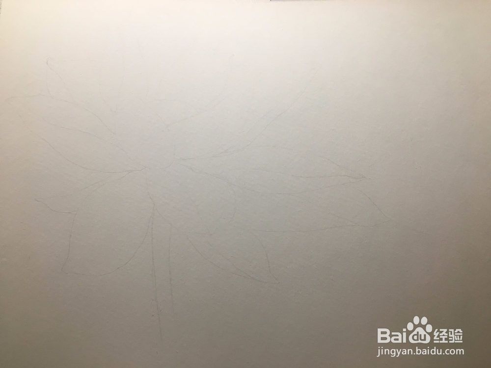 手绘画一朵荷花的彩铅画 莲花铅笔画