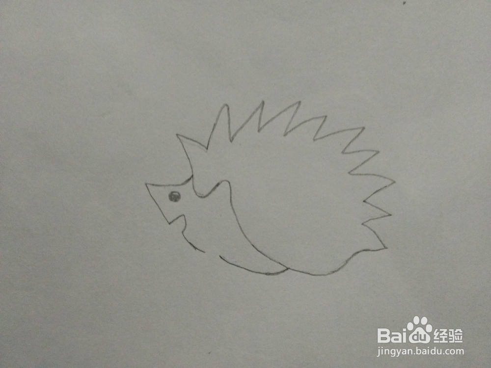 简笔画——怎么画刺猬