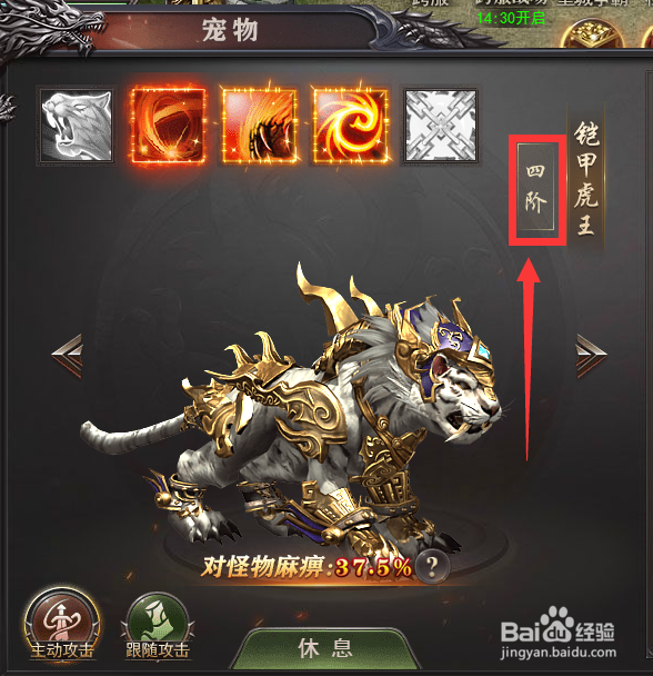 如何查看百战沙城宠物的等级