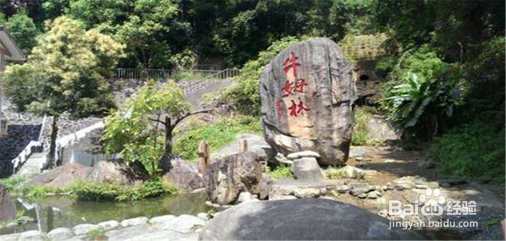 福建省-泉州市旅游路线教程