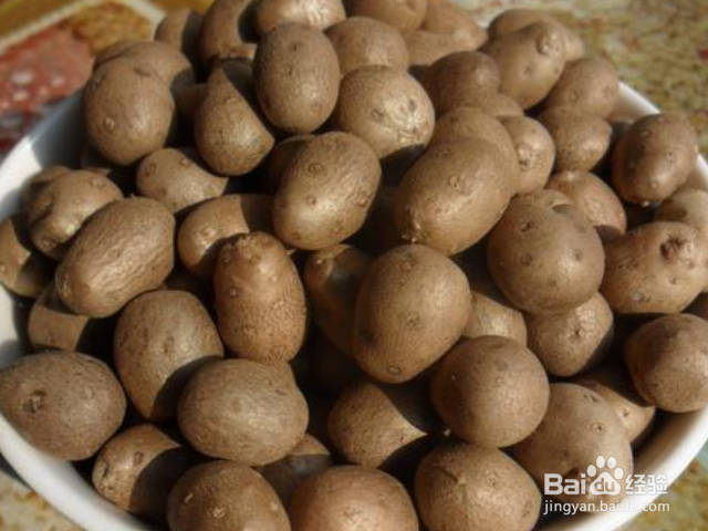 山药豆有什么功效和作用？