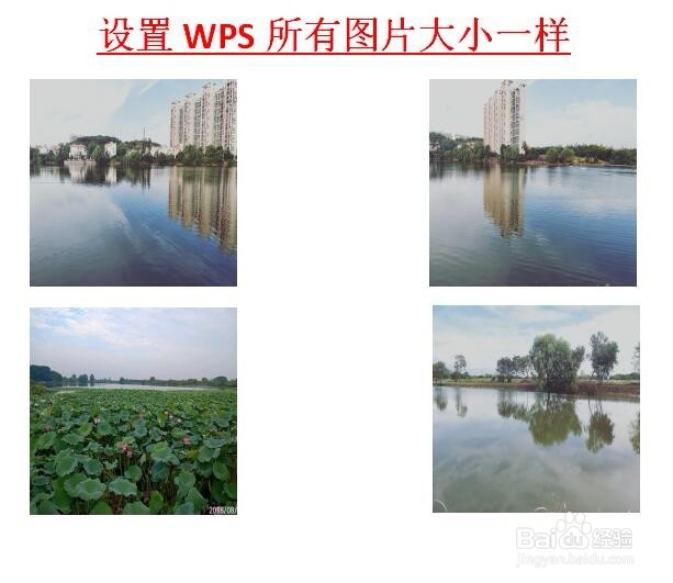 设置wps插入所有图片大小一样