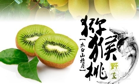 南通到张家界旅游攻略