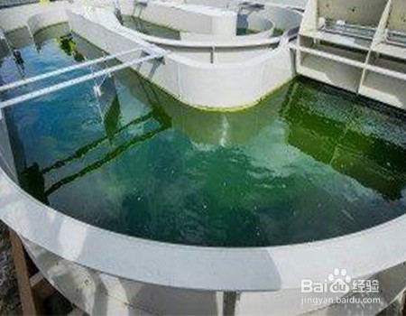 介绍现有成熟含磷废水处理工艺