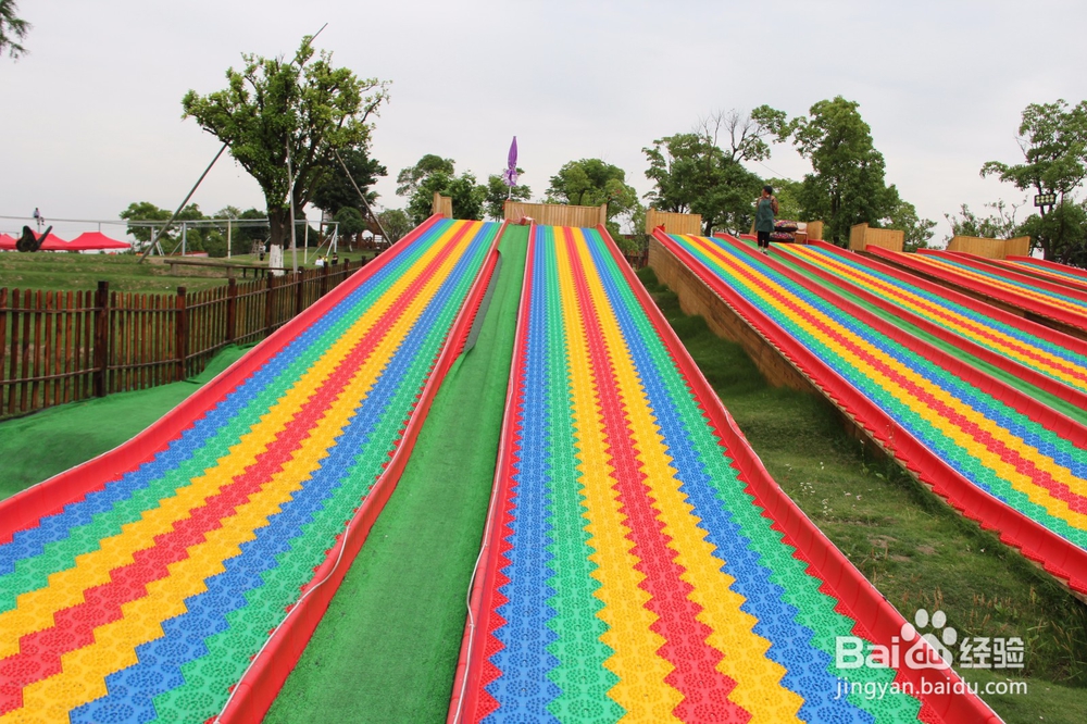 上海旅游攻略之周浦花海