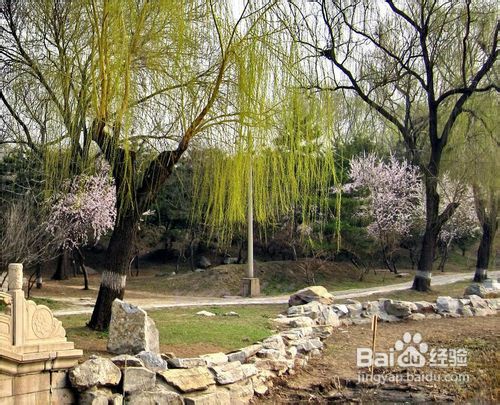 一九二九怎么算的