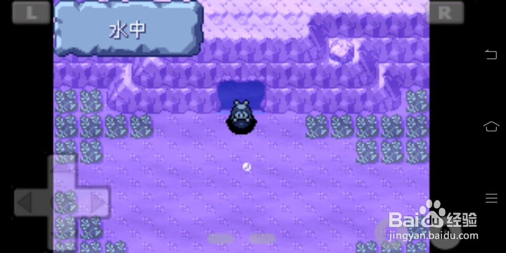 口袋妖怪绿宝石灯笼鱼怎样获得