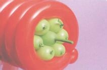 魔法气球造型系列之小花盆