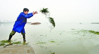养鱼要注意哪些事项