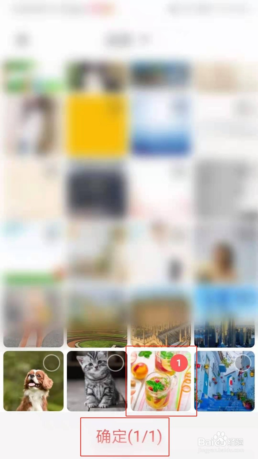 火花Chat怎么设置主页背景