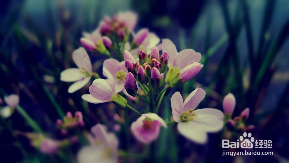 12星座如何应对七年之痒？有你要的答案