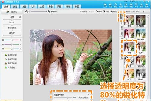 美图秀秀让灰蒙雨天照恢复明艳