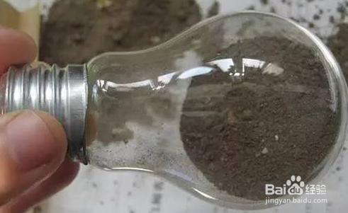 灯泡装饰（盆栽）