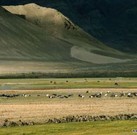 蒙古草原度假游