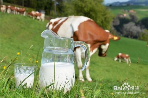 喝酒前吃什么不容易醉