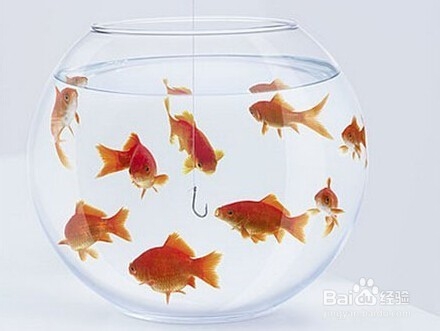 红木家具在冬季可能出现哪些问题?如何解决?