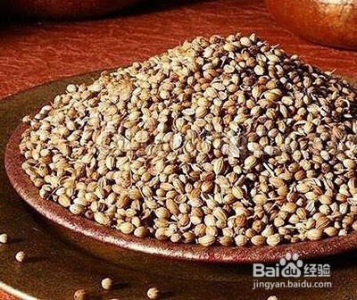 香菜种植方法和时间